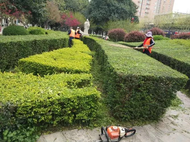 台州公路边坡绿化工程