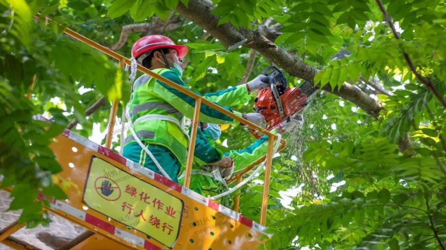 建阳园林绿化工程施工规范